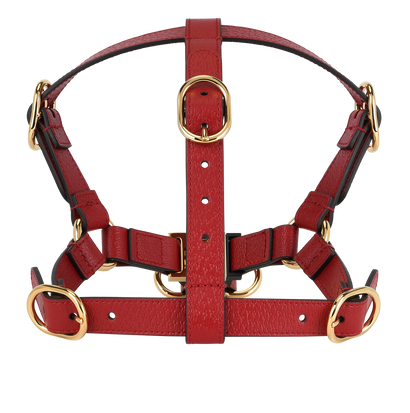 Gucci Pet Harness, front view